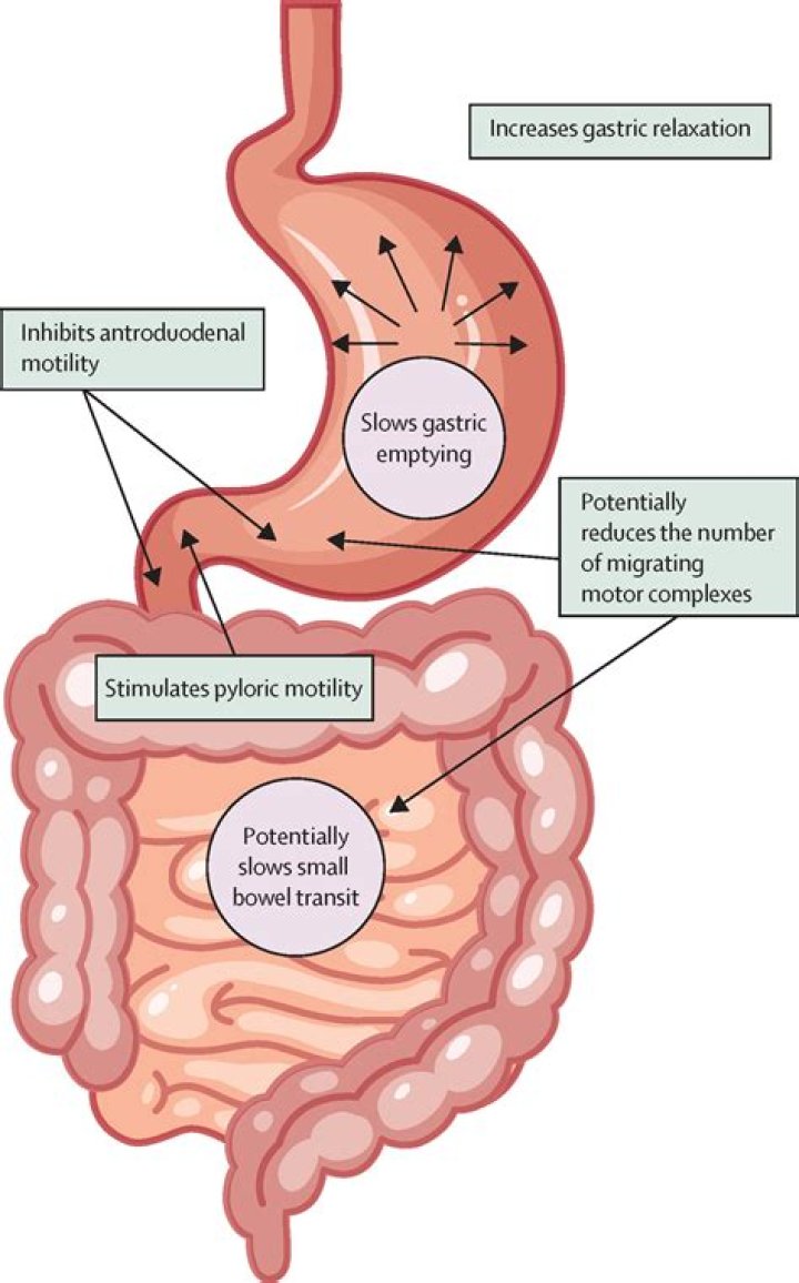 What are the gastrointestinal adverse effects of the glucagonlike