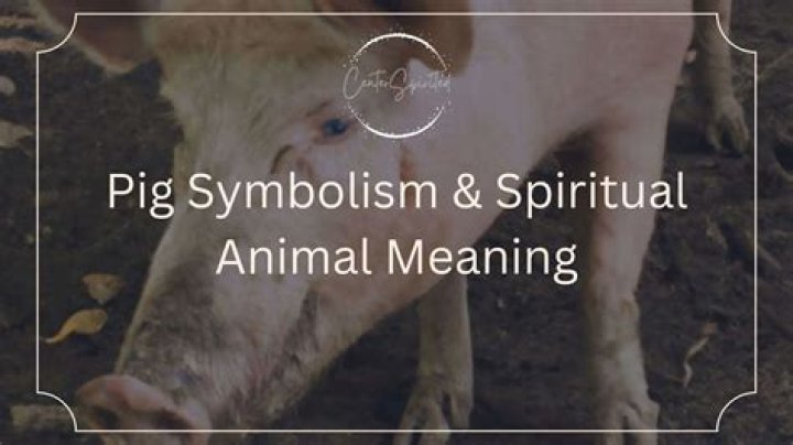 What Does a Pig Symbolize in The Bible? Christian Faith Guide