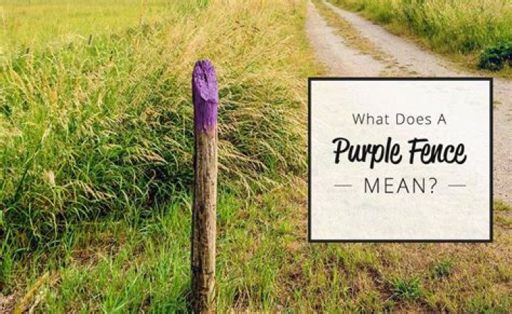 What Does a Purple Fence Mean? What We Know About the Color Choice