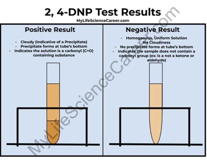 What Does DNP Mean On Prizepicks? Daily Fantasy Focus