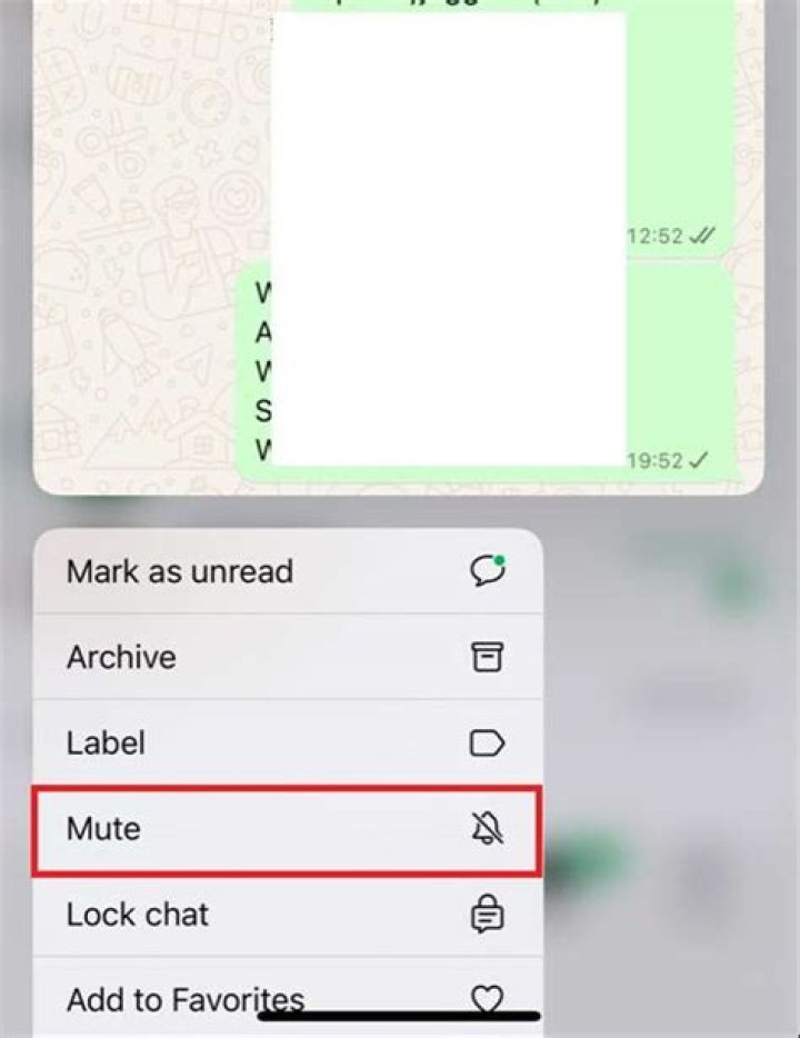What Does Mute on Whatsapp Do? FAQs About Muting on Whatsapp