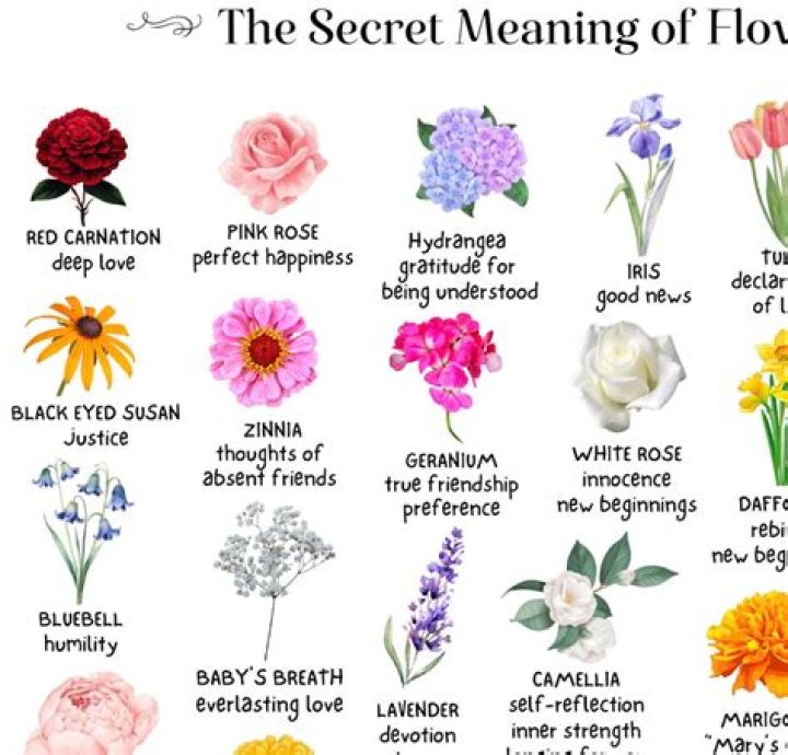 What flower represents infertility?