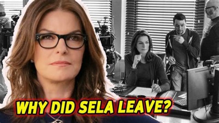 What Happened To Sela Ward Is Illness The Reason She Left FBI?