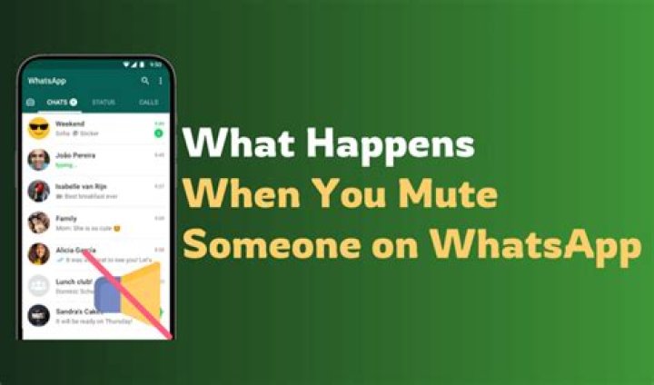 What Happens When You Mute Someone on Whatsapp?