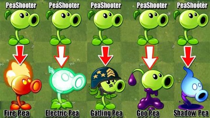 What is a pea shooter tool gawerwap
