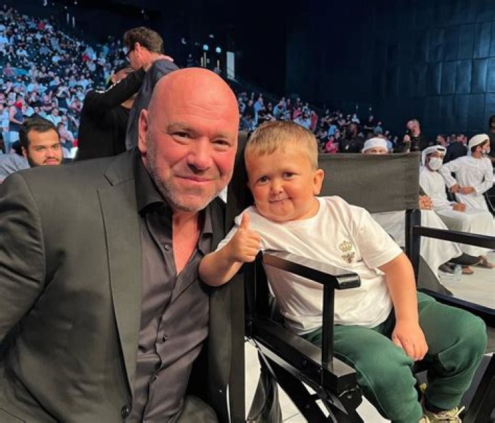 What is Hasbulla Magomedov's net worth?