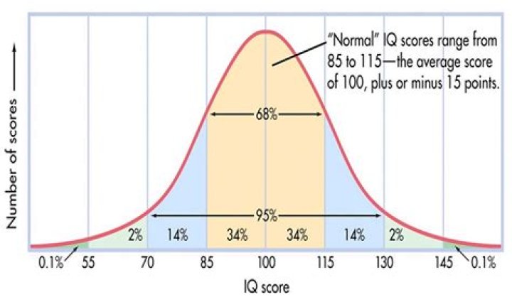 What Is the Average IQ? By Country, State, Gender & More