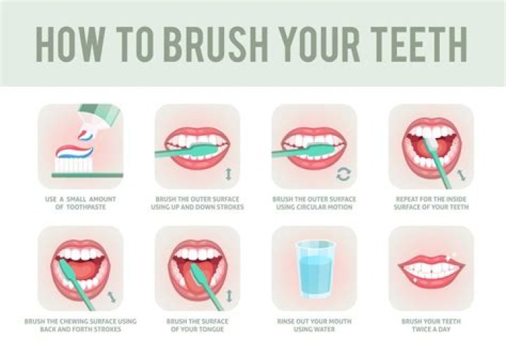 When Should You Brush Your Teeth Great Offers, Save 57 jlcatj.gob.mx