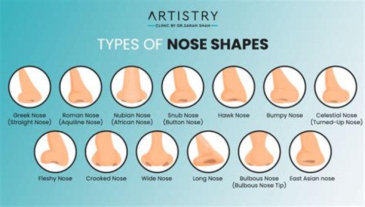 Which type of NOSE do you have? Expert reveals the top 10 shapes