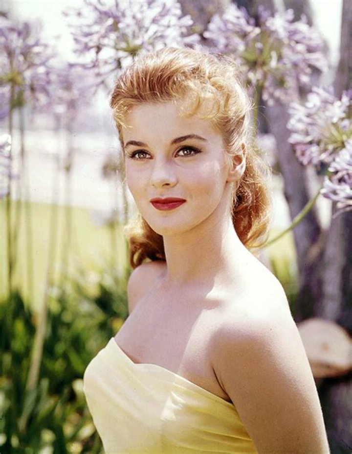 Who is Actress Ann Margret? Her Age, Net Worth, Family & More