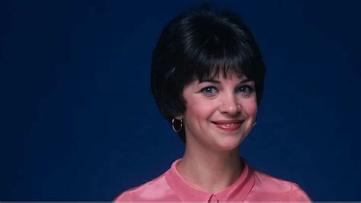 Who is Cindy Williams' exhusband, Bill Hudson? The US Sun