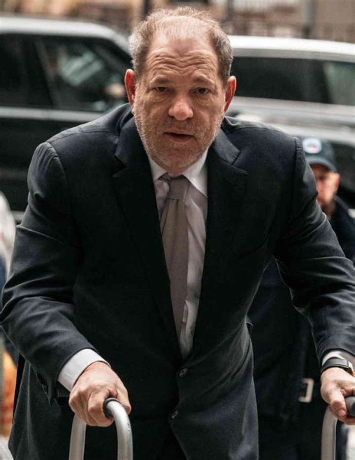 Who is Harvey Weinstein's ExWife Eve Chilton? Her Age, Bio, Kids