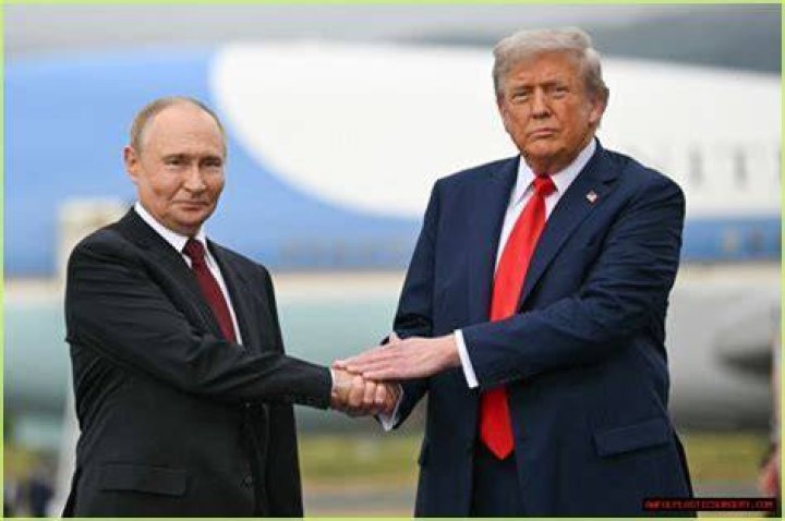 Who Is Haus of Petty aka musclesandnursing TikTok? Putin Parkinsons