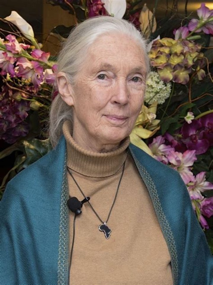 Who is Jane Coaston? Wikipedia Biography, Age, Wife, Parents, Marriage