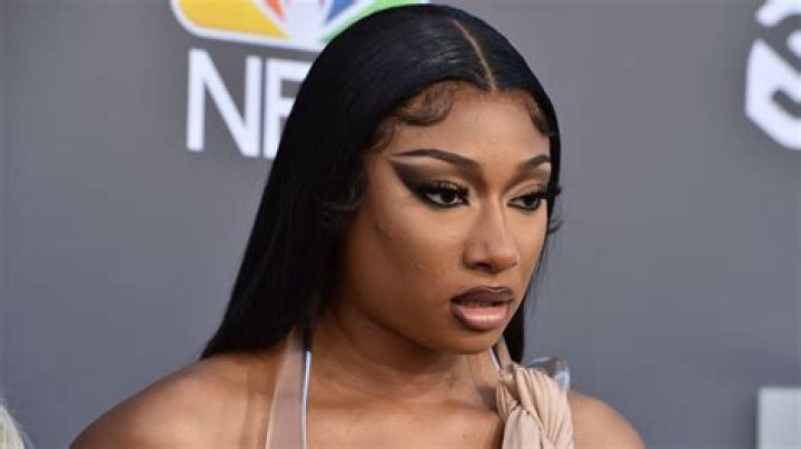Who Is Megan Thee Stallion's Boyfriend? Pardi Breaks Silence on Shooting