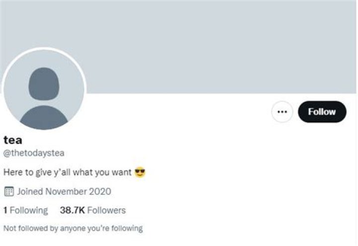 Who is Thetodaystea on Twitter? The US Sun