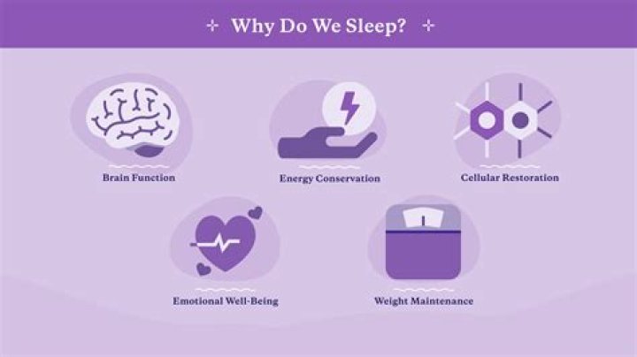 Why Do I Sleep With My Arms Above My Head? HomelyVille