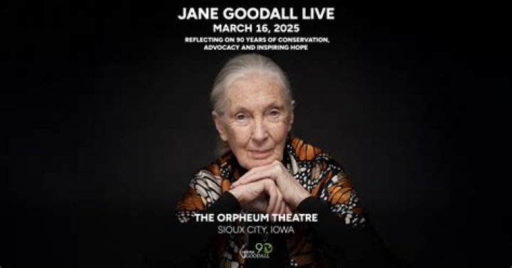 Why Jane Goodall isn't slowing down Stuff.co.nz