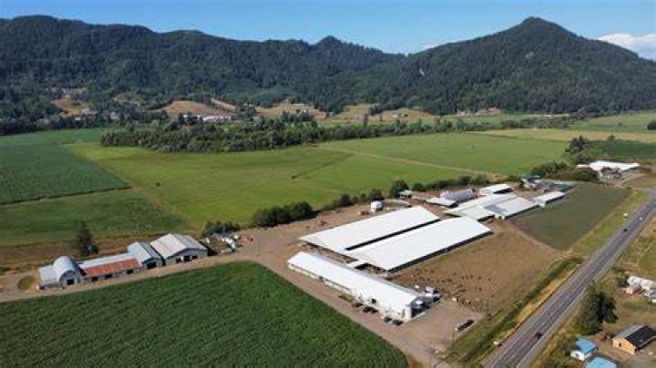 Wilsonview Dairy, Tillamook, Oregon &mdash; Derrick Josi TDF Honest Farming