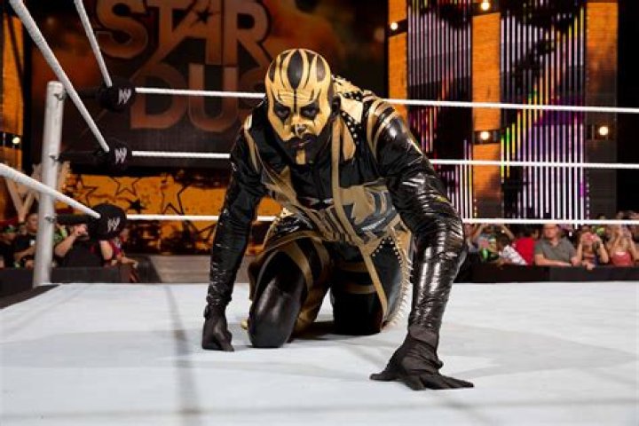 WWE Superstar Goldust (Dustin Runnels) and his wife Tarel Roche