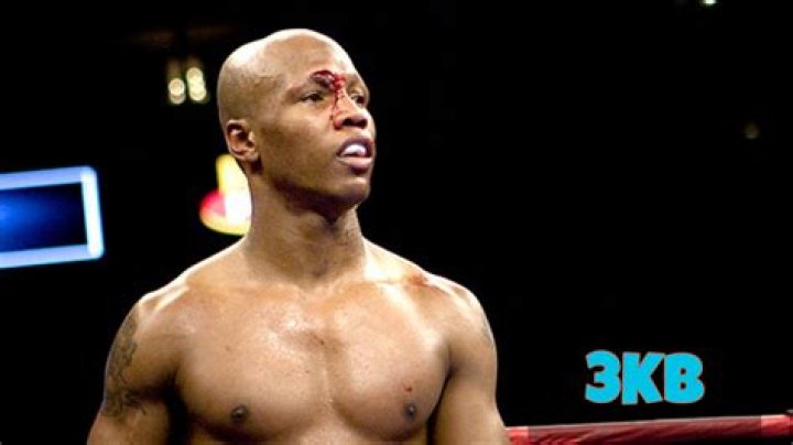 Zab Judah May Have Fought His Last Fight!